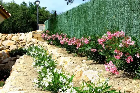 Ojo Azul, Luxueuse villa avec piscine à Santa Cristina d'Aro - Photo 7