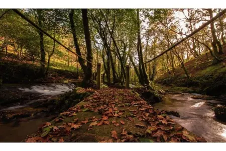 Pruneda II, Spacieux gîte à Nava avec piscine - Photo 31