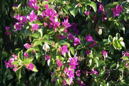 Casa Nido Cálido, Maison de vacances confortable à Finestrat avec piscine - Photo 19