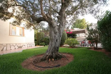 Somontes, Villa de luxe avec piscine privée à Les Rotes - Photo 27