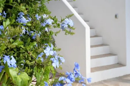 La Vida, Villa moderne avec piscine privée à Moraira - Photo 10