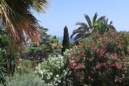 Villa Rosenberg, Villa de luxe avec piscine privée à Benissa - Photo 26