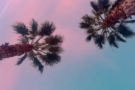 Villa Rosenberg, Villa de luxe avec piscine privée à Benissa - Photo 27