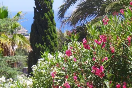 Villa Rosenberg, Villa de luxe avec piscine privée à Benissa - Photo 30