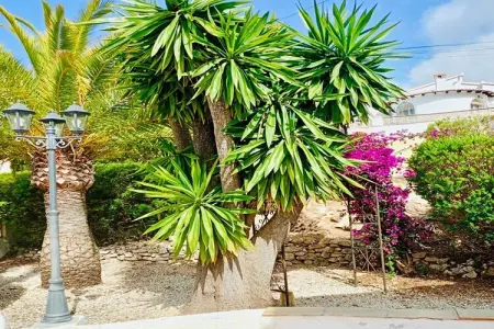 Casa Alegria, Magnifique villa près de la mer à Moraira - Photo 33