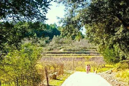 Finca Caballo Verde, Villa moderne avec piscine privée à Murla - Photo 21