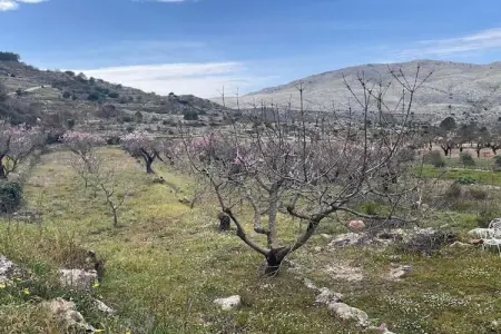 Finca Caballo Verde, Villa moderne avec piscine privée à Murla - Photo 25