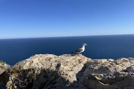 Finca Caballo Verde, Villa moderne avec piscine privée à Murla - Photo 37