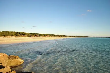 Possesió Sa Barrala, Fabuleuse demeure à Campos Majorque aux Baléares - Photo 28