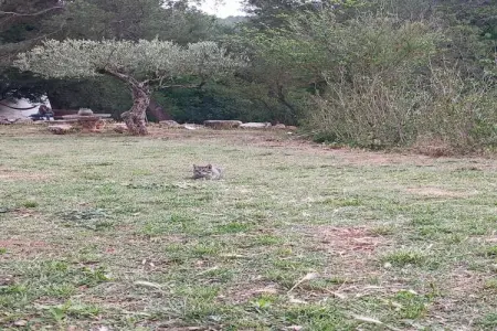 Mas Set Rengs 1, Gîte au calme en Catalogne avec piscine et jardin - Photo 15