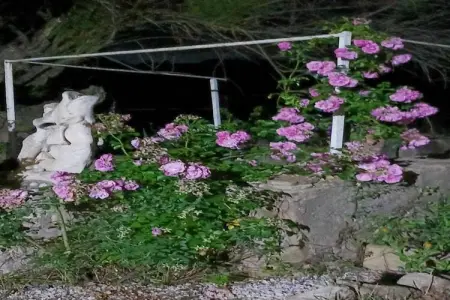 Mas Set Rengs 2, Luxueux gîte en Catalogne avec piscine et jardin avec vues - Photo 24