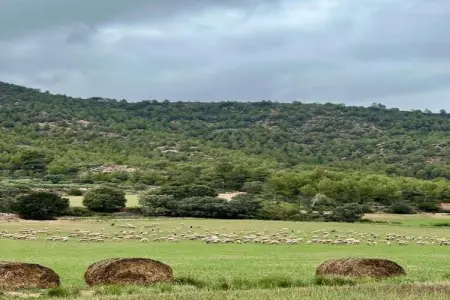 Can Códol 1, Chalet typique avec piscine en Catalogne, en Espagne - Photo 37