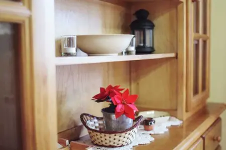 Can Códol 2, Chalet spacieux avec piscine privée en Catalogne - Photo 13