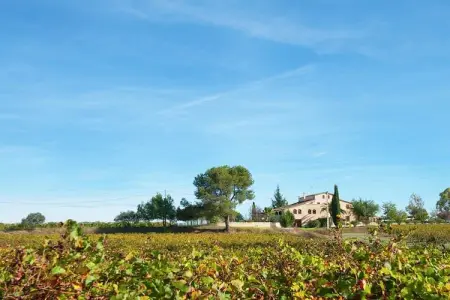 L'Olivera Dalt i Baix, Charmant gîte avec piscine à Subirats - Photo 22