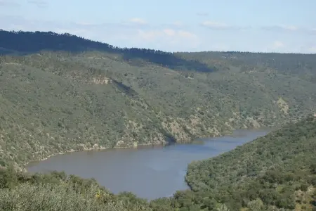 La Galana, Maison de vacances moderne à Herrera de Alcántara. Piscine - Photo 36