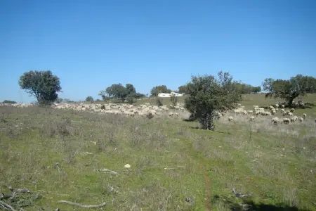 La Galana, Maison de vacances moderne à Herrera de Alcántara. Piscine - Photo 37