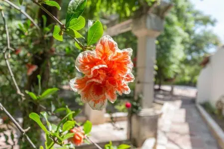 Cortijo La Mimbre, Villa moderne avec piscine privée à Priego de Córdoba - Photo 37
