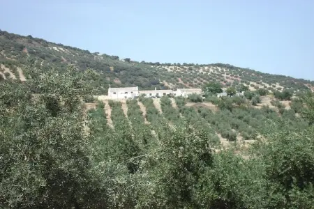 El Molino, Maison de vacances vintage avec piscine privée à Grenade - Photo 32