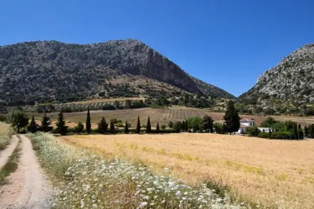 Cortijo Los Alazores, Villa de luxe à Loja avec piscine - Photo 20