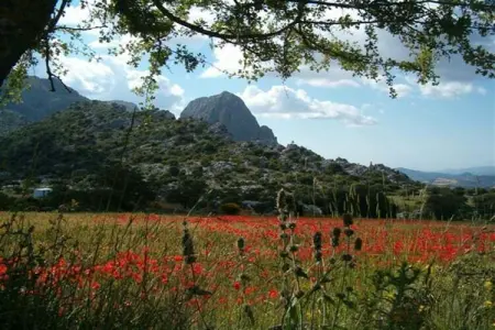 Cortijo Los Alazores, Villa de luxe à Loja avec piscine - Photo 23