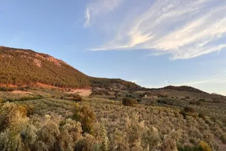 Cortijo Los Alazores, Villa de luxe à Loja avec piscine - Photo 24