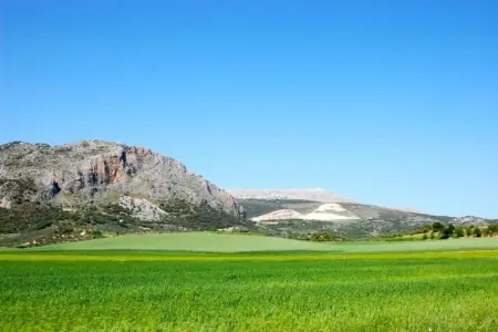 Cortijo Los Alazores, Villa de luxe à Loja avec piscine - Photo 26