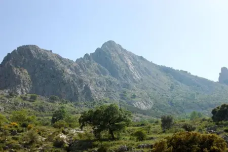 Cortijo Los Alazores, Villa de luxe à Loja avec piscine - Photo 30
