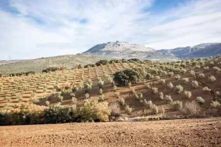 Cortijo Los Alazores, Villa de luxe à Loja avec piscine - Photo 34