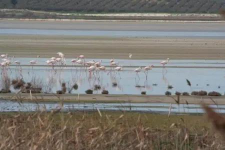 Cortijo Los Alazores, Villa de luxe à Loja avec piscine - Photo 35