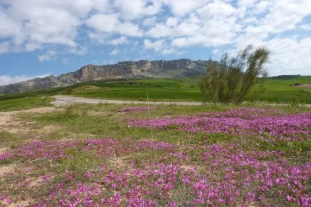 Hoyo del Lino, Joli Cottage à Villanueva de la Concepción avec piscine - Photo 23