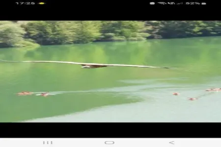 Hoyo del Lino, Joli Cottage à Villanueva de la Concepción avec piscine - Photo 28