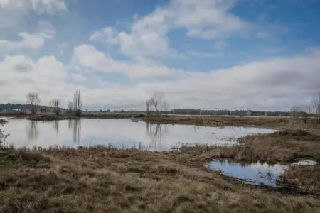Hoyo del Lino, Joli Cottage à Villanueva de la Concepción avec piscine - Photo 33