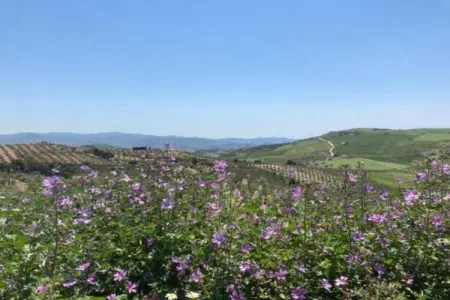 Casa de la Monja, Gîte avec piscine privée à Villanueva de la Concepción - Photo 29