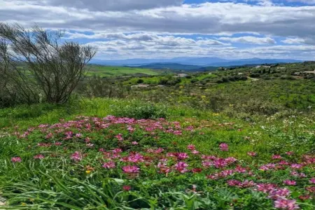 Casa de la Monja, Gîte avec piscine privée à Villanueva de la Concepción - Photo 34