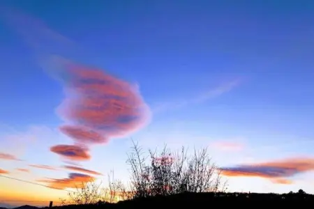 Casa La Herradura, Gîte couvert, piscine et jardin fantastiques en Andalousie - Photo 28