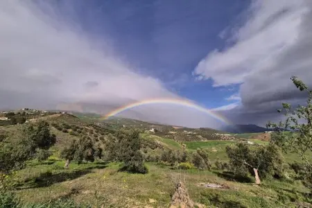 Casa La Herradura, Gîte couvert, piscine et jardin fantastiques en Andalousie - Photo 30