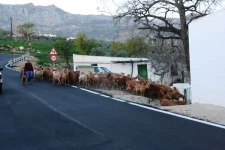Casa Torrejón, Gîte pittoresque avec piscine en Andalousie - Photo 11