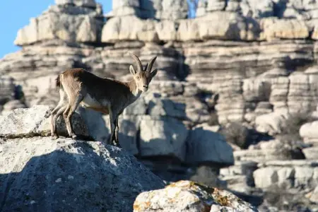 Casa Torrejón, Gîte pittoresque avec piscine en Andalousie - Photo 13