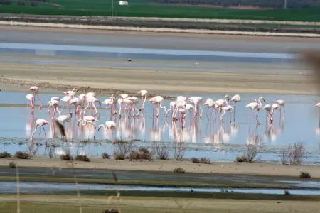 Casa Torrejón, Gîte pittoresque avec piscine en Andalousie - Photo 15