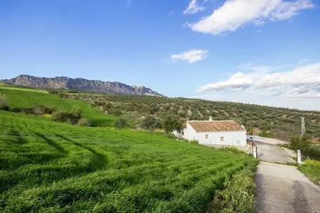 El Trigal, Gîte avec piscine en Andalousie - Photo 29