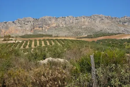 El Trigal, Gîte avec piscine en Andalousie - Photo 31
