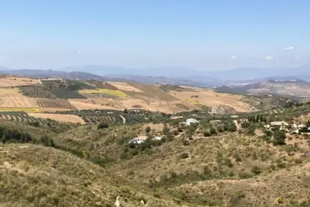 El Trigal, Gîte avec piscine en Andalousie - Photo 34