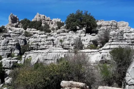 El Trigal, Gîte avec piscine en Andalousie - Photo 35
