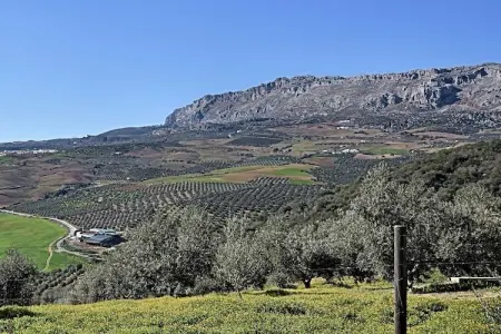 Casa Celeste, Maison de vacances cosy, Villanueva de la Concepción, jardin - Photo 19