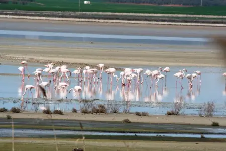 Casa Celeste, Maison de vacances cosy, Villanueva de la Concepción, jardin - Photo 21