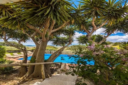 Finca las Chozas, Gîte confortable à La Joya avec piscine privée - Photo 23