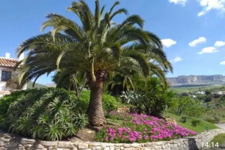 Finca Lomas de Tienda, Maison de vacances cosy Villanueva de la Concepción, piscine - Photo 37