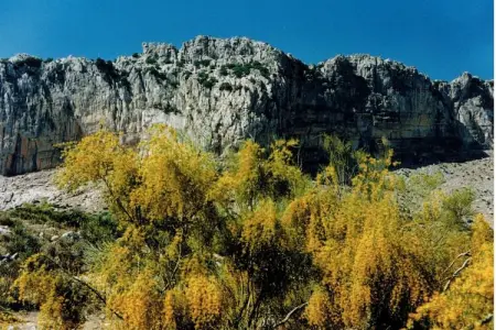 Finca Lomas de Tienda, Maison de vacances cosy Villanueva de la Concepción, piscine - Photo 39