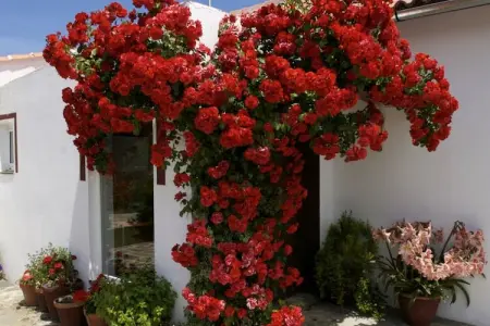 Casa Candela, Gîte rural avec piscine à Ronda - Photo 13