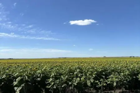Casa Candela, Gîte rural avec piscine à Ronda - Photo 18